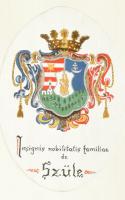cca 1920-40 Szüle család címere Insignis nobilitatis familiae de Szüle felirattal, feltehetően Szüle Péter (1886-1944) festőművész munkája. Akvarell, papír. Üvegezett fa keretben, 27×19,5 cm.
