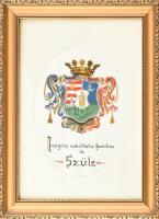 cca 1920-40 Szüle család címere "Insignis nobilitatis familiae de Szüle" felirattal, felte...