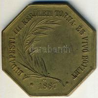 1887. "Budapesti III. kerületi Torna és Vívó Egylet" szögletes Br díjérem T:2