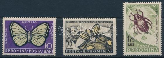 1956 Rovarok sor, Insects set Mi 1586-1588