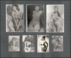 14 db erotikus fotó albumlapra ragasztva, 8×6 és 14,5×9 cm