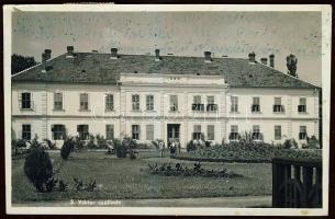 Félixfürdő, Hotel Viktor