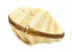 Kagylós ékszerdoboz, benne 2 pár kagylós és tengeri csillagos fülbevaló + kagylós nyaklánc, 8x6,5x5 ...