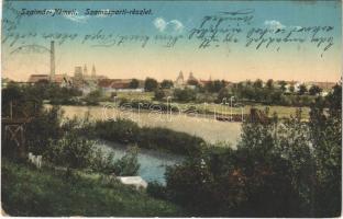 1915 Szatmárnémeti, Szatmár, Satu Mare; Szamos-parti részlet / Somes riverside (EK)