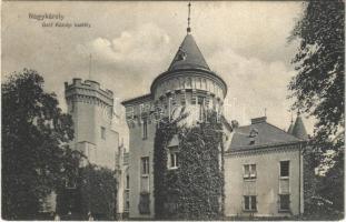 1907 Nagykároly, Carei; Gróf Károlyi kastély. Csókás László kiadása / castle (EK)