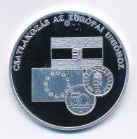 DN A magyar pénz krónikája - Csatlakozás az Európai Unióhoz Ag emlékérem (20g/0.999/38,61mm) T:PP fo.