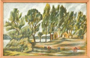 Katymári Krizsán Antal (1916-1996): A csatorna torkolata a Dunánál (Lajos bácsi tanyája). Pasztell, papír. Jelzett. Üvegezett fa keretben. 27,5×41 cm