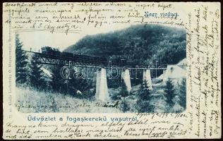 Nyustya, cogwheel-train