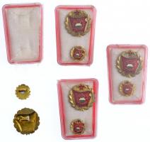 ~1970-1980. "Szocialista Brigád" aranyozott, műgyantás jelvény miniatűrrel, műanyag tokban...