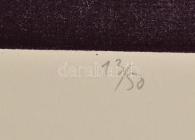 Kéri Imre (1945-): "A csodálatos mandarin". Vaskarc, aquatinta, papír. Jelzett. Számozott ...