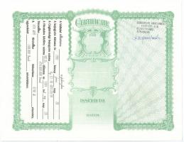 1991. "Turul Nemzetközi Biztonságtechnikai Részvénytársaság" névre szóló tíz darab részvén...