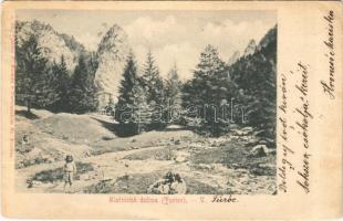 1905 Blatnicai-völgy, Blatnická dolina (Turóc, Turiec); Sochán P. 92. (EK)