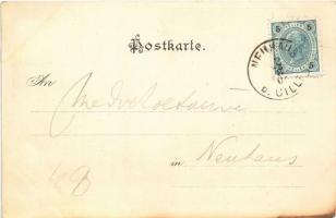 1901 Terme Dobrna, Bad Neuhaus bei Cilli; Milchmariandl, Ruine Schlangenburg, Schweizerhof / spa, ba...