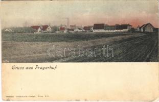 1907 Pragersko, Pragerhof; general view. Oesterr. Lichtdruck-Anstalt (EK)