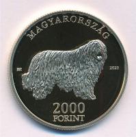 2020. 2000Ft Cu-Ni-Zn "Komondor" T:P Adamo EM411