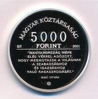 2011. 5000Ft Ag "Bibó István" kapszulában, tanúsítvánnyal T:PP Adamo EM241