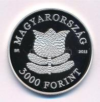 2013. 3000Ft Ag "A magyar táncház módszer" kapszulában, tanúsítvánnyal T:PP
Adamo EM256