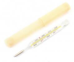 Régi higanyos lázmérő, műanyag tokban, jó állapotban, h: 13 cm