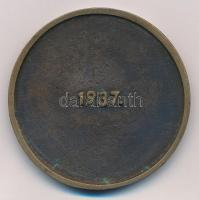 1937. "MAOSZ (Magyar Amatőrfényképezők Országos Szövetsége) - Győr / 1937" Br emlékérem (5...