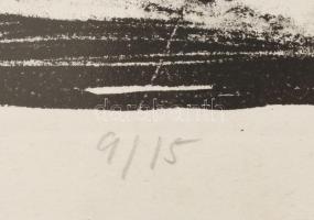 Győrffy Sándor (1951-): UFO, 1999. Litográfia, papír, jelzett, számozott (9/15). Üvegezett fa keretb...