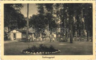 1941 Farkasgyepű, Országos Gyermekvédő Liga Üdülőtelepe és Erdei iskolája (EK)