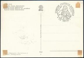 San Marino 1974 San Marino 1974