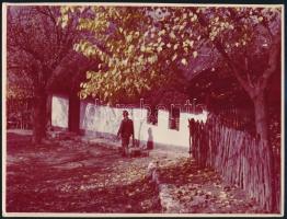 Nagy Árpád: Ősz, hátoldalon feliratozott fotó, kiállítási címkével, 23×18 cm