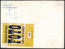 Nagy Árpád: Ősz, hátoldalon feliratozott fotó, kiállítási címkével, 23×18 cm