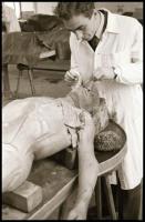 Orvosi boncolást bemutató negatívok, 11 kocka tekercsben