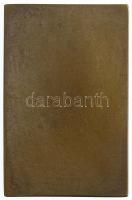 Sződy Szilárd (1878-1939) 1913. "1913. VIII. 31. - Diósgyőr-vasgyári Propaganda Verseny" B...