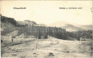 1909 Vihnye, Vihnyefürdő, Kúpele Vyhne; kilátás a vöröskuti útról / general view, forest (fl)