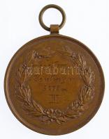 1895. "Vasvármegyei Sport Egylet / 1895 VIII/1 Térelőny v. 5000 m III." Br díjérem (40mm) ...