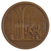 1969. "VASKUT - Vasipari Kutató Intézet Budapest 1949-1969" kétoldalas Br emlékérem, hátla...