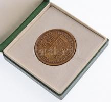 1969. "VASKUT - Vasipari Kutató Intézet Budapest 1949-1969" kétoldalas Br emlékérem, hátla...