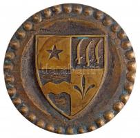 DN "Mohács Város Tanácsától" kétoldalas, öntött Br emlékérem (101mm) T:2 kis patina