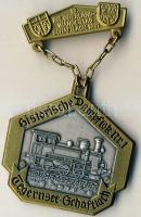 NSZK/Bajoroszág 1981. "13. Felvidéki Vándornap-Tegernsee" dekoratív ezüstözött Br díjérem T:1