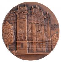 DN "MNB Klub / Magyar Nemzeti Bank" kétoldalas Br emlékérem (49mm) T:1- kis patina