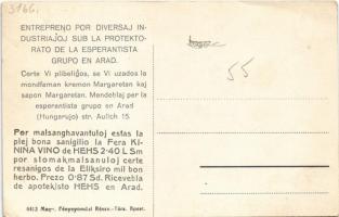 Arad, Lloyd palota, Apollo színház, mozi, pálinka raktár, Purjes üzlete, Pannonia szálloda, Takarékp...