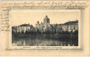 1911 Temesvár, Timisoara; Béga részlet az izraelita templommal, zsinagóga. Ideal W. L. Bp. No. 6679. / Bega riverside, synagogue (Rb)
