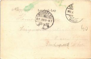 1903 Esztergom, Dunai uszoda. Wallfisch S. kiadása (kis szakadás / small tear)