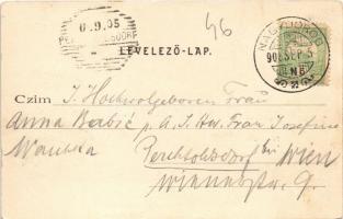 1905 Nagydorog, Fő utca, Klein Lajos kávéháza, vendéglője és borügynöksége, Lévai Nándor üzlete és s...