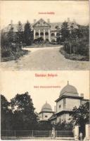 1909 Sály, Gorove kastély, Báró Heccendorf kastély (Seckendorf, Négyesi-Szepessy kastély) (fl)