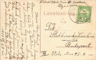 1910 Soltvadkert, Solt-Vadkert; Evangélikus iskola, Kossuth szobor. W. L. (?) 571. Kis János kiadása...