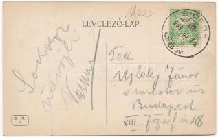 1909 Siófok, Fürdőtelepi kávéház, kert vendégekkel és pincérekkel (fa)