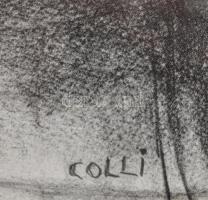 Colli jelzéssel: Női akt. Ceruza, papír. Jelzett, Üvegezett keretben. 22x15 cm