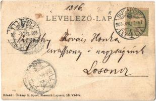 1905 Magyar nemes díszruhában. Örömy S.  / Hungarian nobleman in decorative clothing. photo (felszín...