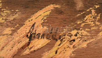 Olvashatatlan jelzéssel: Vágtázó lovak csikóssal. Olaj, falemez. Hátoldalán kiállítási vagy aukciós ...