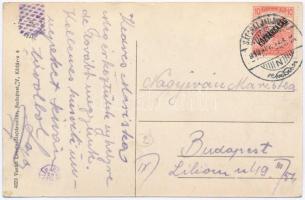 1919 Sátoraljaújhely. Vasúti levelezőlapárusítás 4829