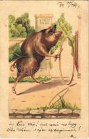 1899 Pig going to the park. litho
