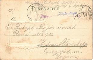 Innsbruck (Tirol), street view. Art Nouveau Emb. frame + "K.u.K. Reservespital in Innsbruck&quo...